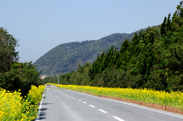 房総フラワーライン DOKOIKO どこいこ:バイクツーリング