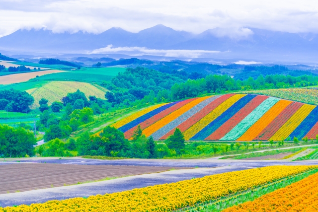 北海道 ツーリングエリア Dokoiko